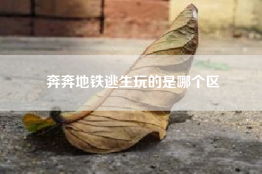 奔奔地铁逃生玩的是哪个区