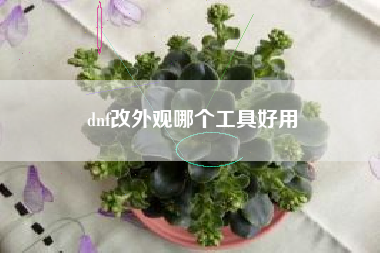 dnf改外观哪个工具好用