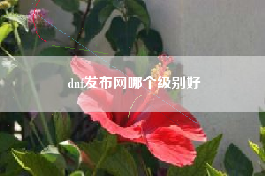 dnf发布网哪个级别好