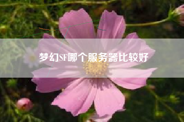 梦幻SF哪个服务器比较好