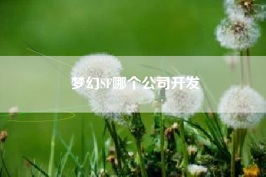 梦幻SF哪个公司开发