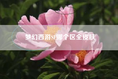 梦幻西游SF哪个区全皮肤