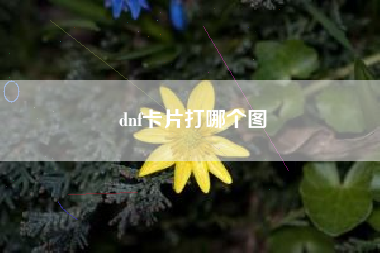 dnf卡片打哪个图