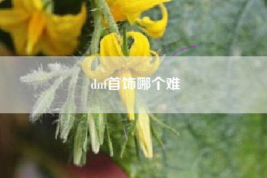 dnf首饰哪个难