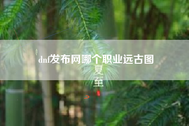 dnf发布网哪个职业远古图