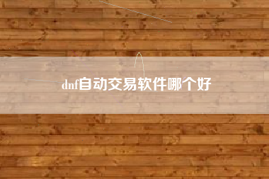 dnf自动交易软件哪个好