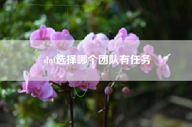 dnf选择哪个团队有任务