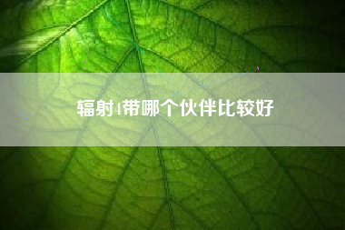 辐射4带哪个伙伴比较好