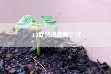 dnf武器词条哪个好