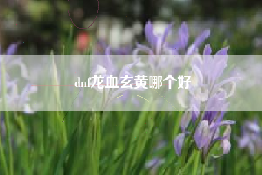 dnf龙血玄黄哪个好