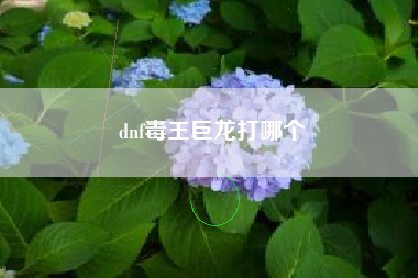 dnf毒王巨龙打哪个