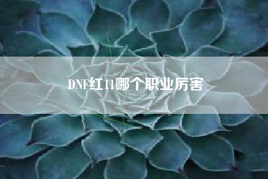 DNF红11哪个职业厉害