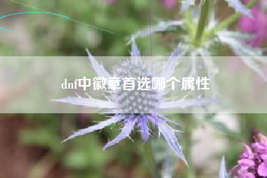 dnf中徽章首选哪个属性