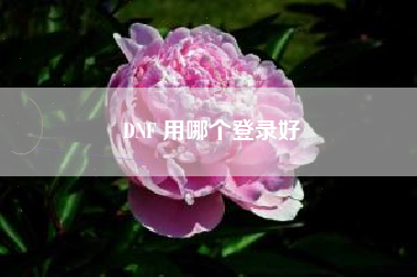 DNF 用哪个登录好