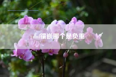 dnf镶嵌哪个是负重