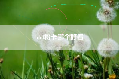 dnf粉卡哪个好看