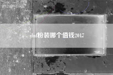 dnf粉装哪个值钱2017