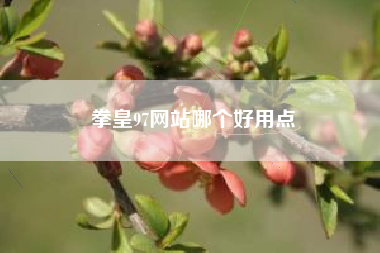 拳皇97网站哪个好用点