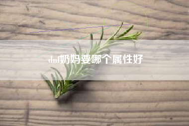 dnf奶妈要哪个属性好