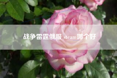 战争雷霆俄服 steam哪个好