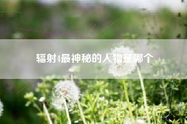 辐射4最神秘的人物是哪个