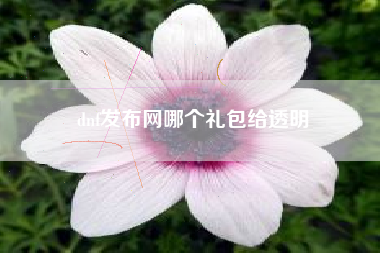 dnf发布网哪个礼包给透明