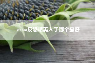 steam反恐精英入手哪个最好