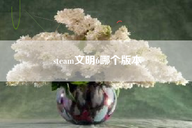 steam文明6哪个版本