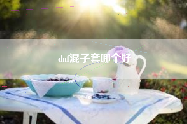 dnf混子套哪个好