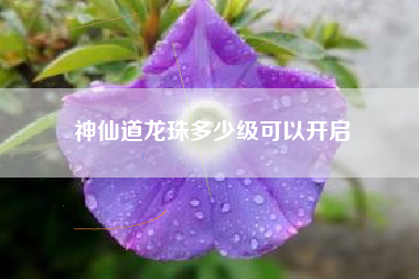 神仙道龙珠多少级可以开启