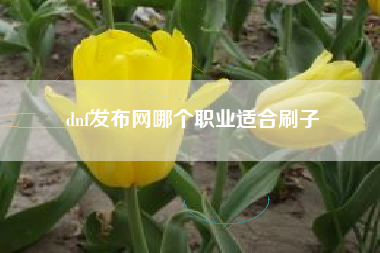 dnf发布网哪个职业适合刷子