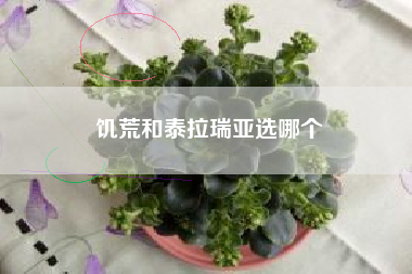 饥荒和泰拉瑞亚选哪个