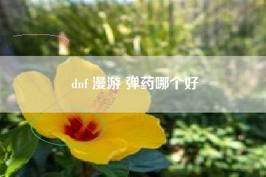 dnf 漫游 弹药哪个好