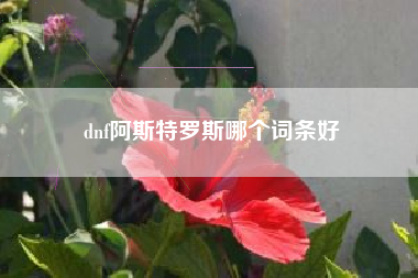 dnf阿斯特罗斯哪个词条好