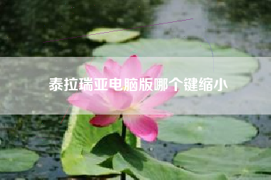 泰拉瑞亚电脑版哪个键缩小