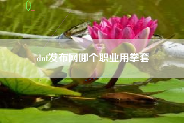 dnf发布网哪个职业用拳套