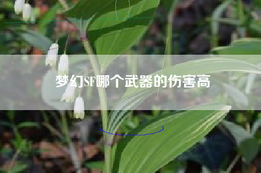 梦幻SF哪个武器的伤害高