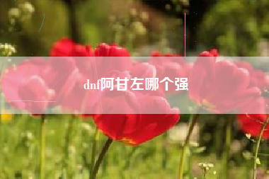 dnf阿甘左哪个强