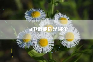 dnf中毒戒指是哪个