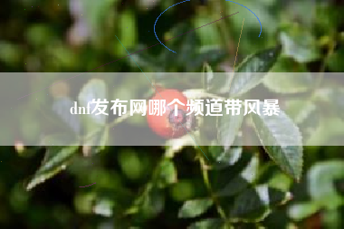 dnf发布网哪个频道带风暴