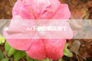 dnf下载后解压哪个