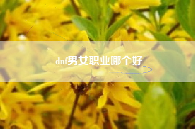 dnf男女职业哪个好