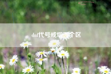 dnf代号戒烟哪个区