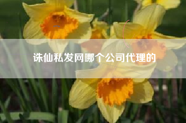 诛仙私发网哪个公司代理的