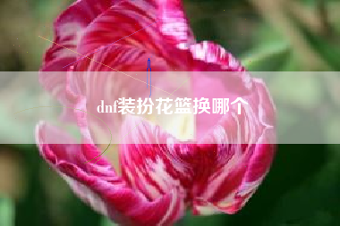 dnf装扮花篮换哪个