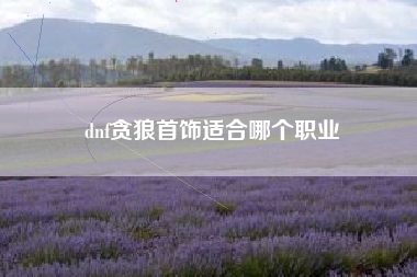 dnf贪狼首饰适合哪个职业