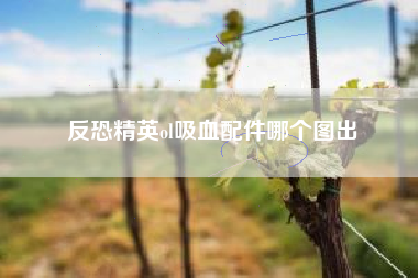 反恐精英ol吸血配件哪个图出