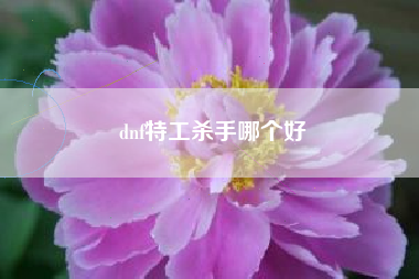 dnf特工杀手哪个好