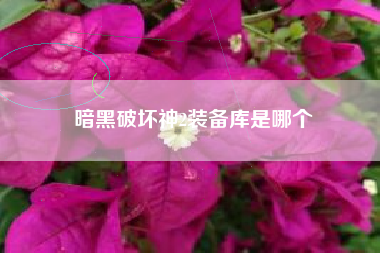 暗黑破坏神2装备库是哪个