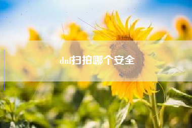 dnf扫拍哪个安全